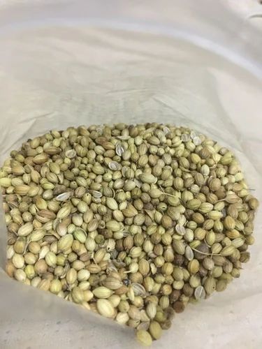 Organic Coriander Seed