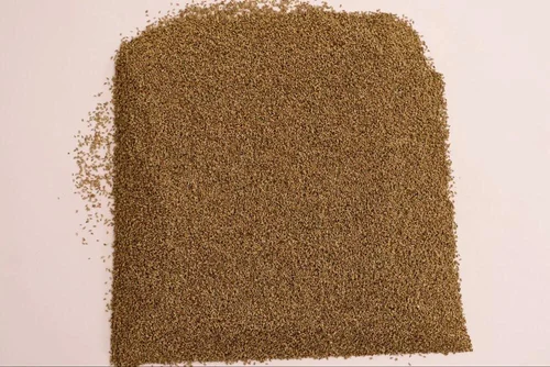 Carom Seed European Standard, Seeds