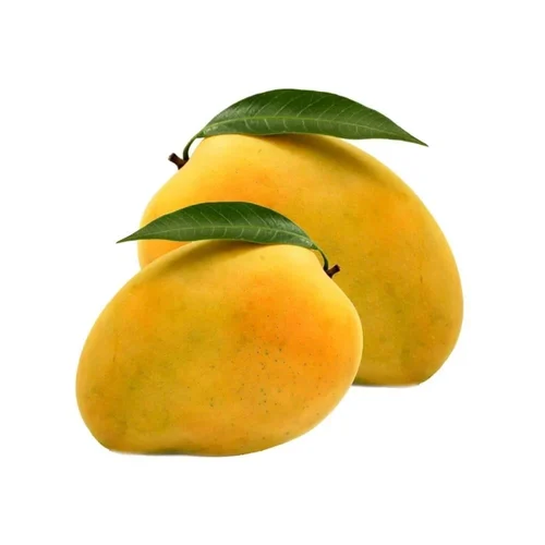 Fresh Alphonso Mango