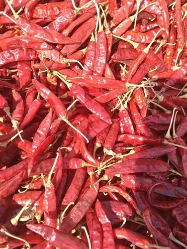 Sun Dried Teja (S17) Red Chilli With Stem - Super Deluxe (75000-90000 SHU)