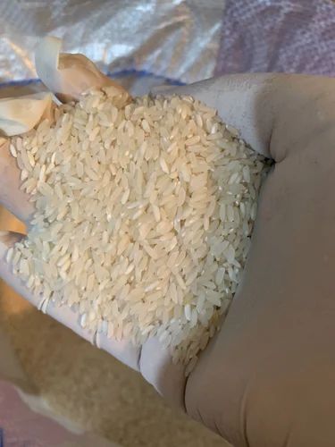 NeeR Sona Masoori Raw, Packaging Type: PP Bag, Packaging Size: 25 Kg