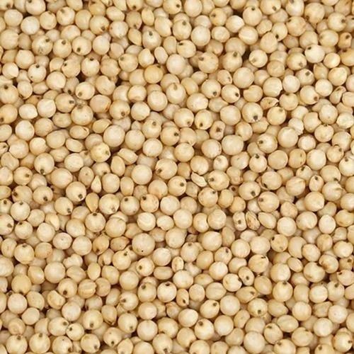 White Sorghum Grain, Gluten Free, 25 kg