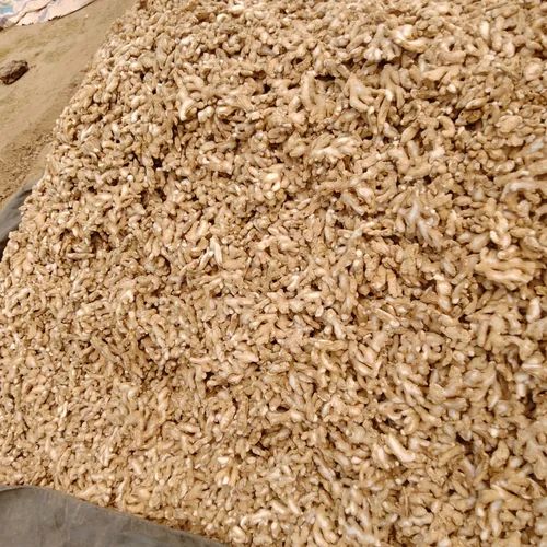 Natural Dry Ginger, Packaging Size: 30, Packaging Type: Gunny Bag