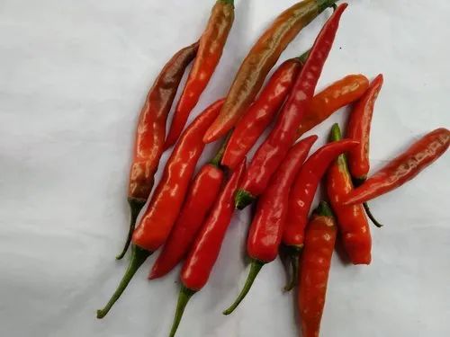 Guntur Dry Red Chilli