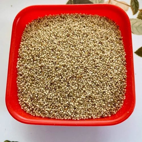 Barnyard Millet