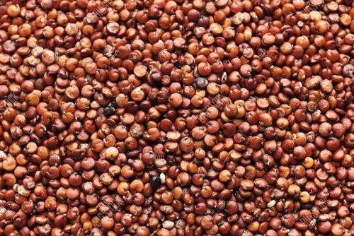 Red Quinoa Seeds (25 Kg)