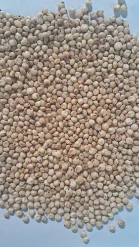 Sorghum Seed, 30 kg, Human Consumption