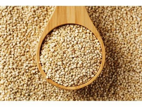 Quinoa Seeds (25 Kg)
