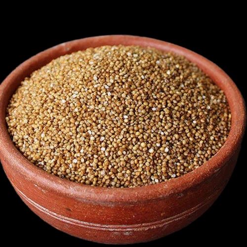 Brown Natural Kodo Millet, Packaging Size: 25 Kg