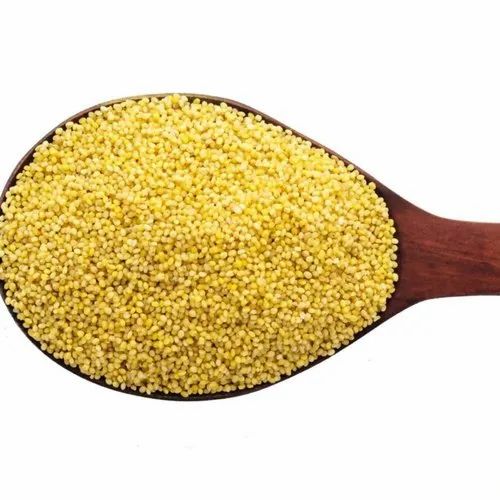 Foxtail Millet In PP Bag