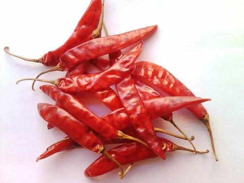 Guntur Dry Red Chilli