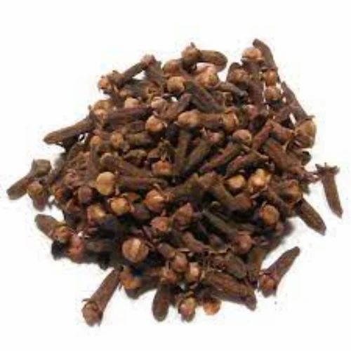Dry Clove Stem