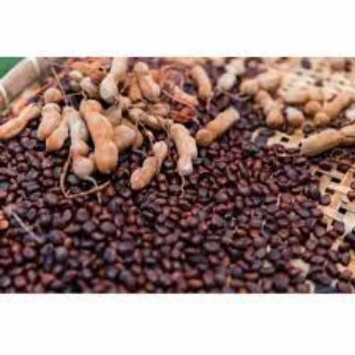 Karnavati Spices Brown Dry Tamarind Seeds, Packaging Type: Packet, Packaging Size: 100g