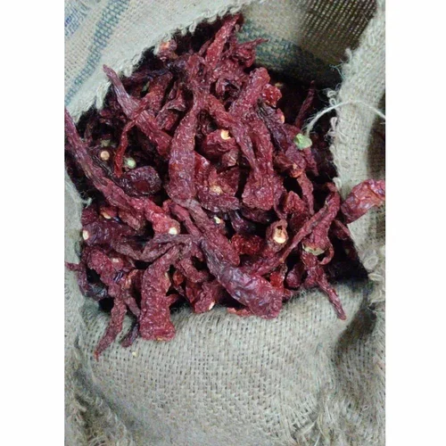 Syngenta 2043 Dried Red Chilli