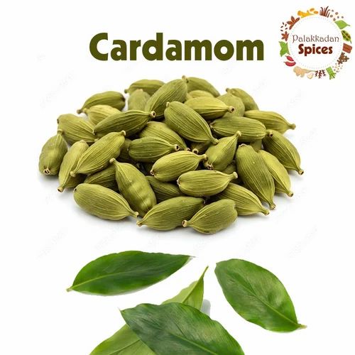 Green Cardamom Seed, Whole Pods, Bold