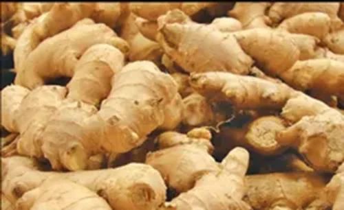 Organic Ginger .