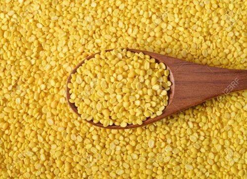 Natural Moong Mogar Dal, Annalxmi, Packaging Size: 30 Kg