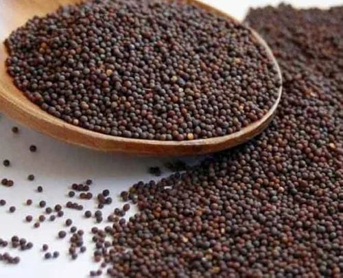 Black Mustard Seeds, 1 kg