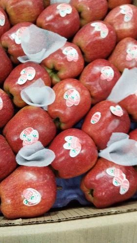 A Grade Kashmiri Kullu Delicious, Packaging Size: 10 Kg