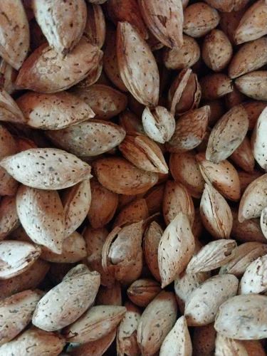 Almond, Kagzi Badam