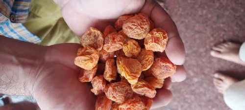 Dried Apricot