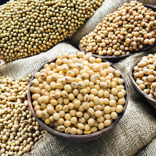 Organic Soya Beans, Packaging Size: 1 Kg