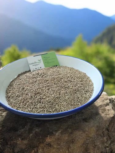 Whole Organic Dry Cumin Seeds, Packaging: Packet, Packaging Size: 30kg