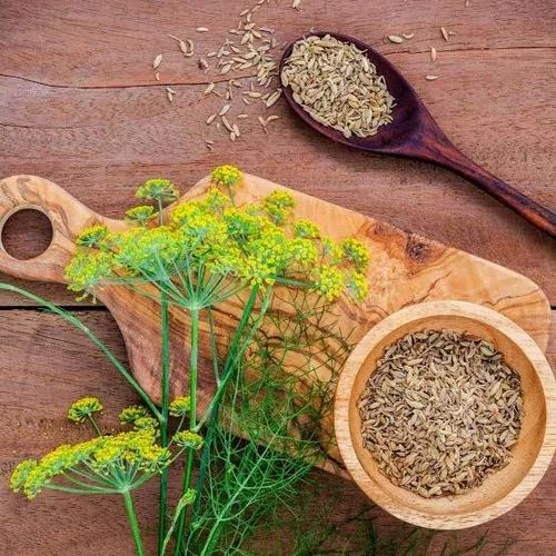 Organic Fennel Seeds
