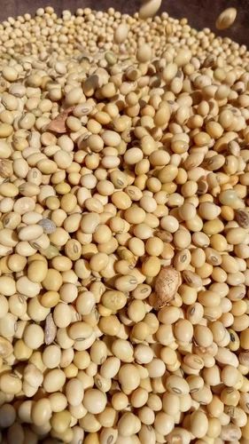Soya Beans Product, 50 Kg, PP Bag