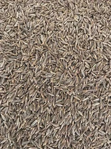 Whole Organic Cumin Seed