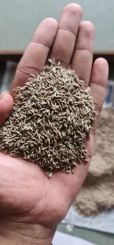 Organic Fennel Seeds, Packaging Size: 25 Kg