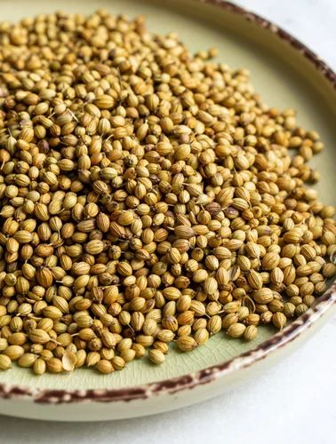 Coriander Seeds Dhania