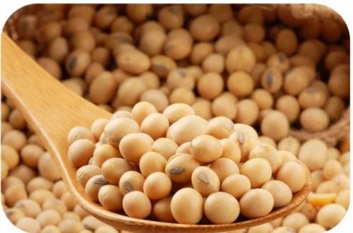 Soya Beans Organic, Packaging Size: 50 Kg