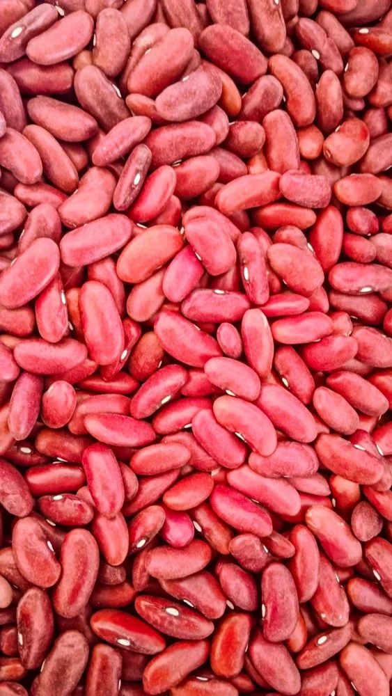 Rajma Seed