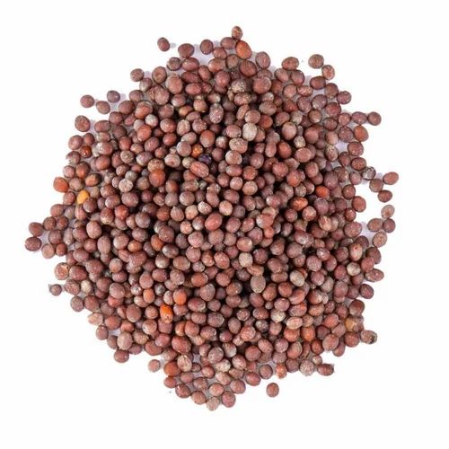 Mustard Seeds Black, 100 Kg
