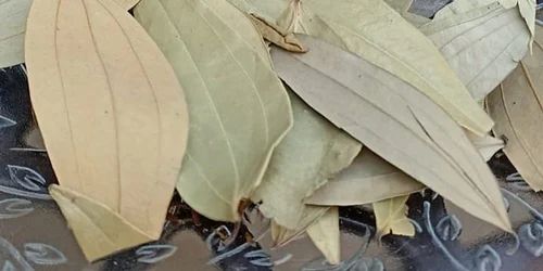 BAY LEAVES-LAURUS NOBILIS