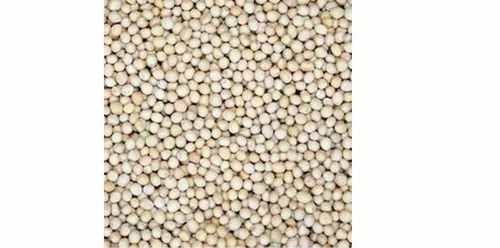 White Mustard Seed