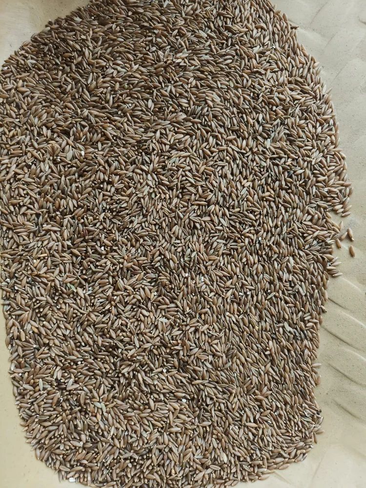 BAMBOO RICE