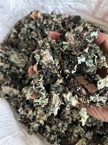 Black Stone Flower, A Grade, Packaging Size: kg