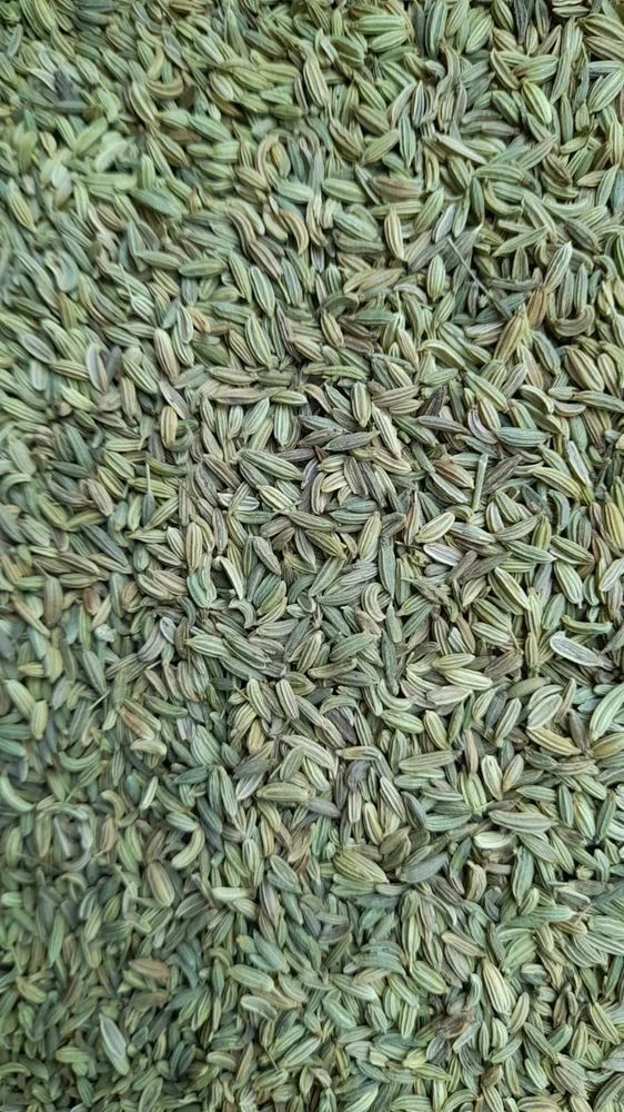 Fennel Seed AJWAIN