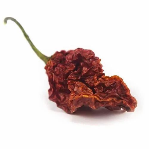 Nagaland Ghost Pepper, Packaging: Bottled Packaging