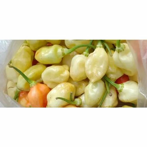 A Grade Assam White Ghost Pepper, For Cooking
