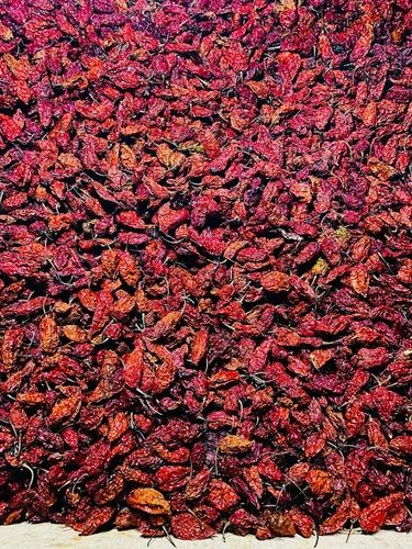 Dry Naga King Chilli