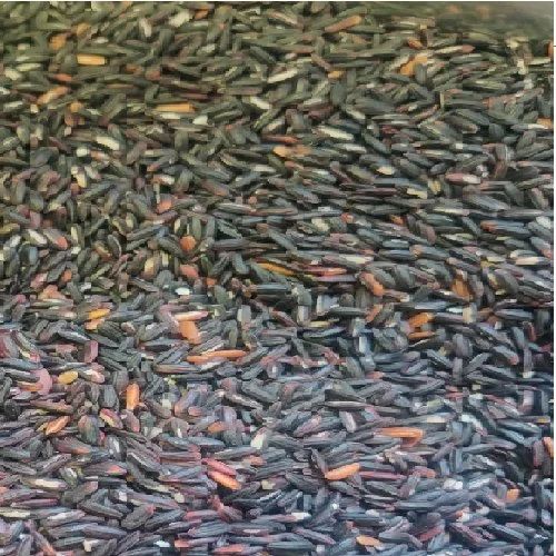 Forbiddin Black Rice, PP bag