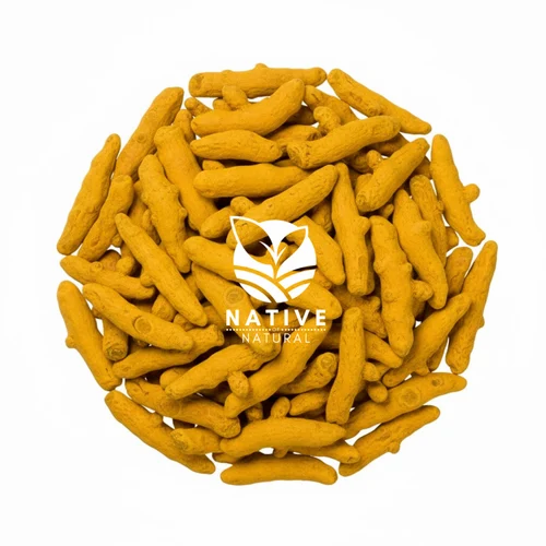 Organic Wild Turmeric Root (Salem Variety) - Dried Whole