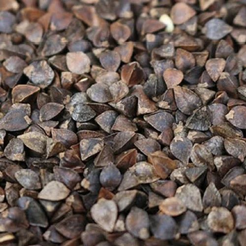 Kuthu Atta Buckwheat Flour (Natural, Whole)