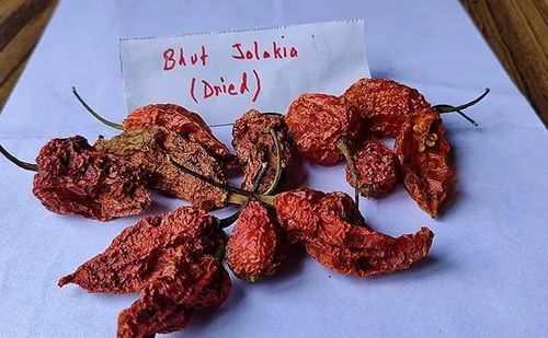 Assam Bhut Jholokia