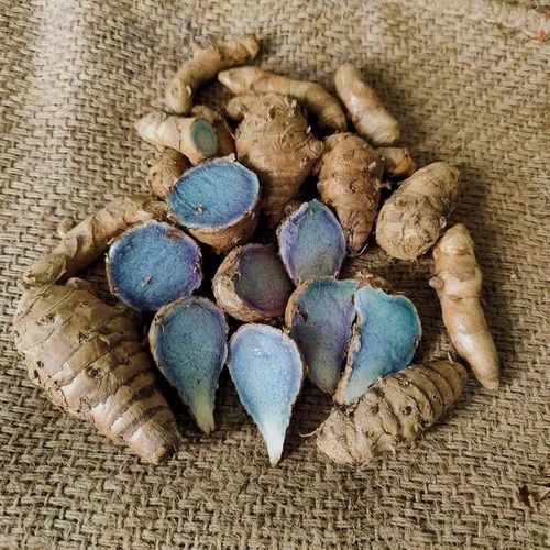 Black Turmeric Seed