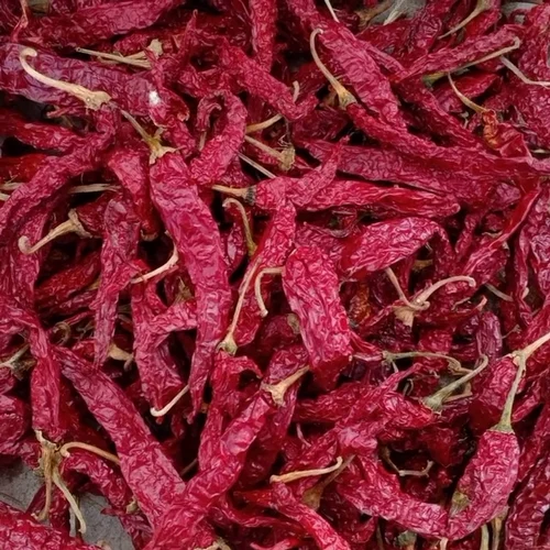 Byadgi Kashmiri Chilli, With Stem