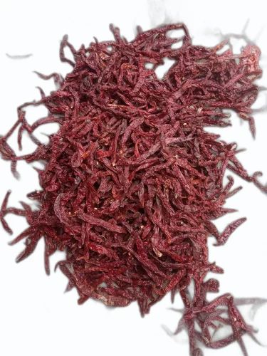 Stemless 5531 chilli